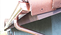 wildlife-proofing-gutters-bird-squirrel-rodent-guards Experts in Flint